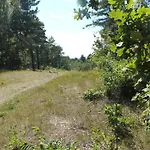 In *